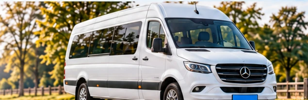 witte Mercedes-Benz Sprinter met blauwe kentekenplaat